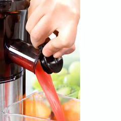 Shine Vertical Juicer Efficient Juicing Solution