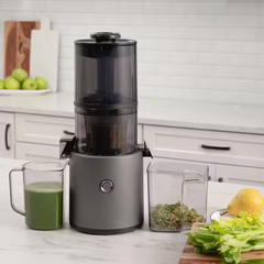 Effortless Batch Juicer – Gray, Easy