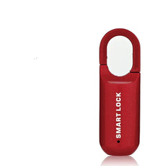 Mini USB Keyless Fingerprint Smart Biometric Lock