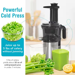 Shine Vertical Juicer Efficient Juicing Solution